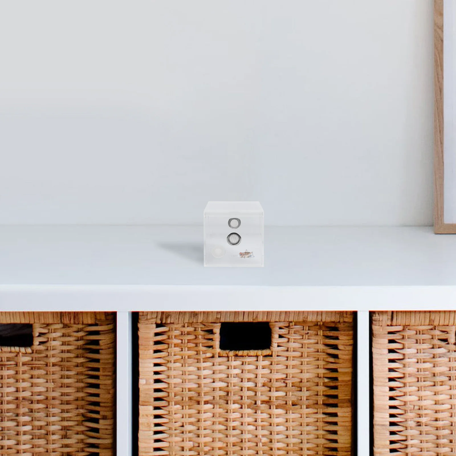 

1pcs Transparent Cricket Cage Insect Habitat Breeding Box Spider Feeding Enclosure Reptile Terrarium Bug Keeper Starter Kit