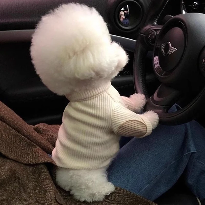 Fashion Dog Clothes Autumn Winter Dog Undershirt Soft Cotton Thin Puppy Hoodie Chihuahua French Bulldog Bichon Costume Pet Vest