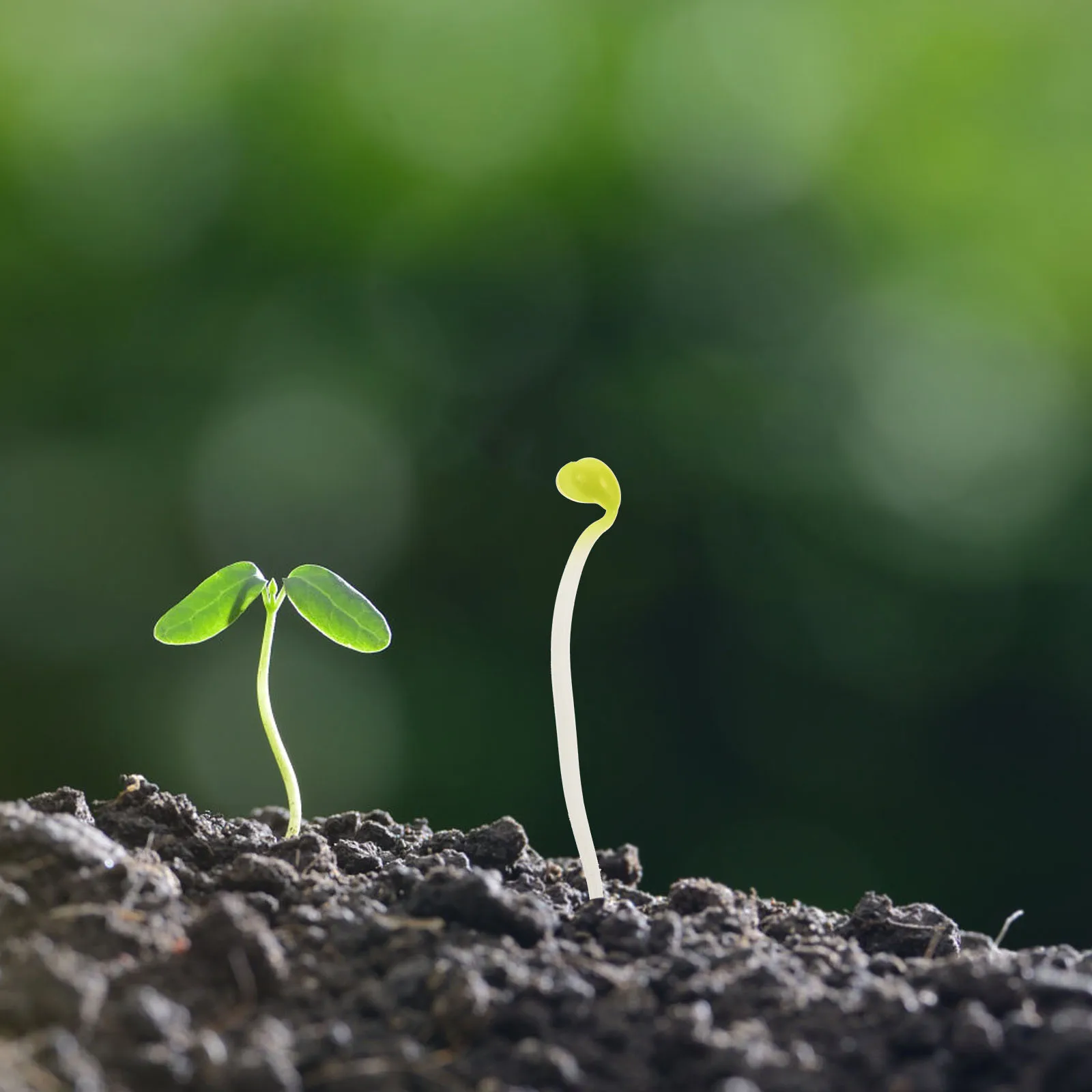 

50Pcs Stress Relief Bean Sprouts Mold Compact Artificial Vegetable Decorative Bean Sprout Prop Photoing Food Accessory