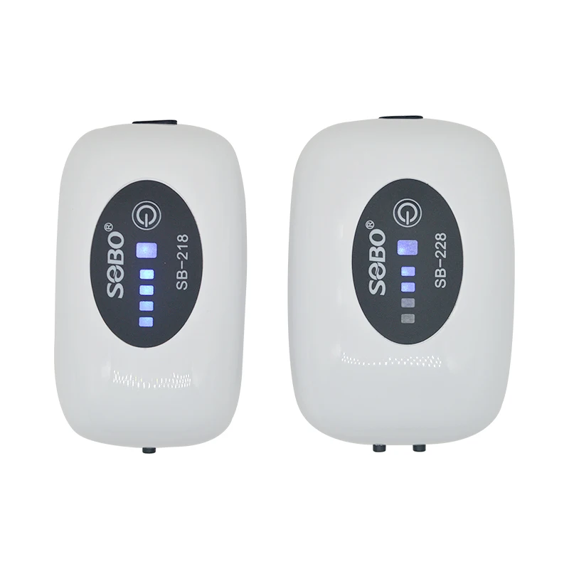 yZ[zSOBOp_fGA|vRvbT[[dÉUSBobe[ڃ|[^uނp_f퉮OGA|v