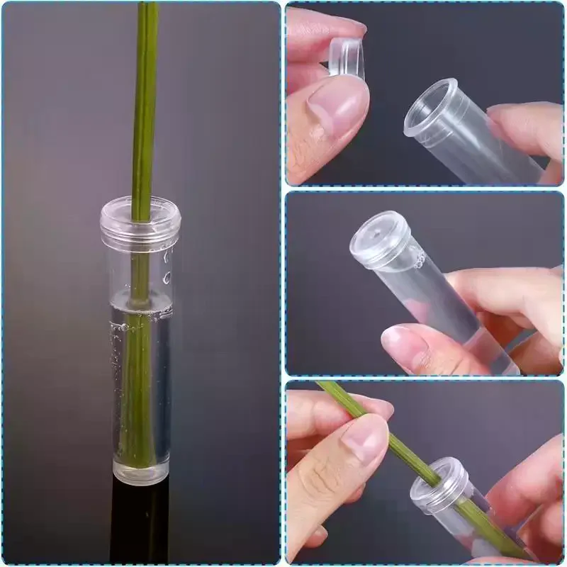 /PFU/Plastic Flower Water Tubes With Silicone Caps, Reusable Transparent Floral Vials For Flower And Plant Preservation 20Pcs