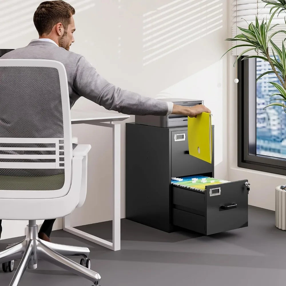 2 Drawer File Cabinet with Lock Vertical Filing Storage Cabinet Office Home Steel Vertical File Cabinets for Letter Size File Ca