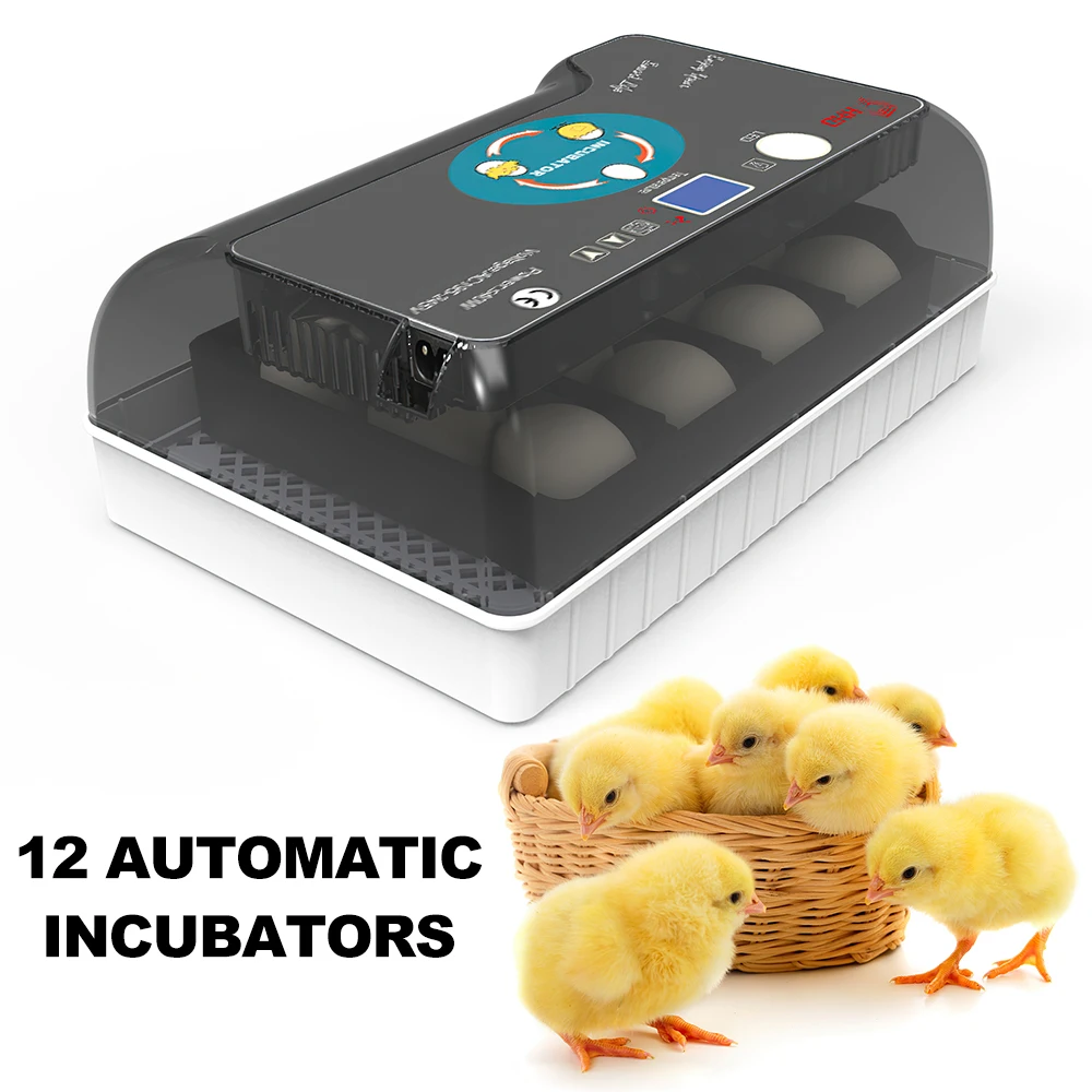 12 Eggs Incubator Temperature Control Turning Chicken Hatcher Brooder Bird Quail Duck Goose Incubator Farm Incubation Tools