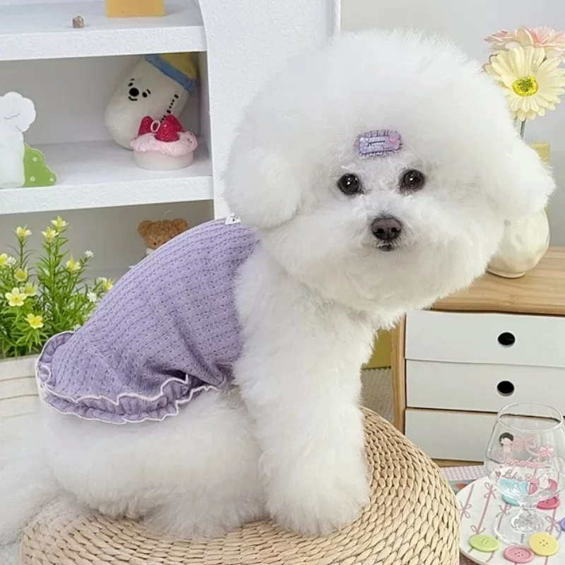 Vestido lazo perro y falda princesa gato – ropa verano suave