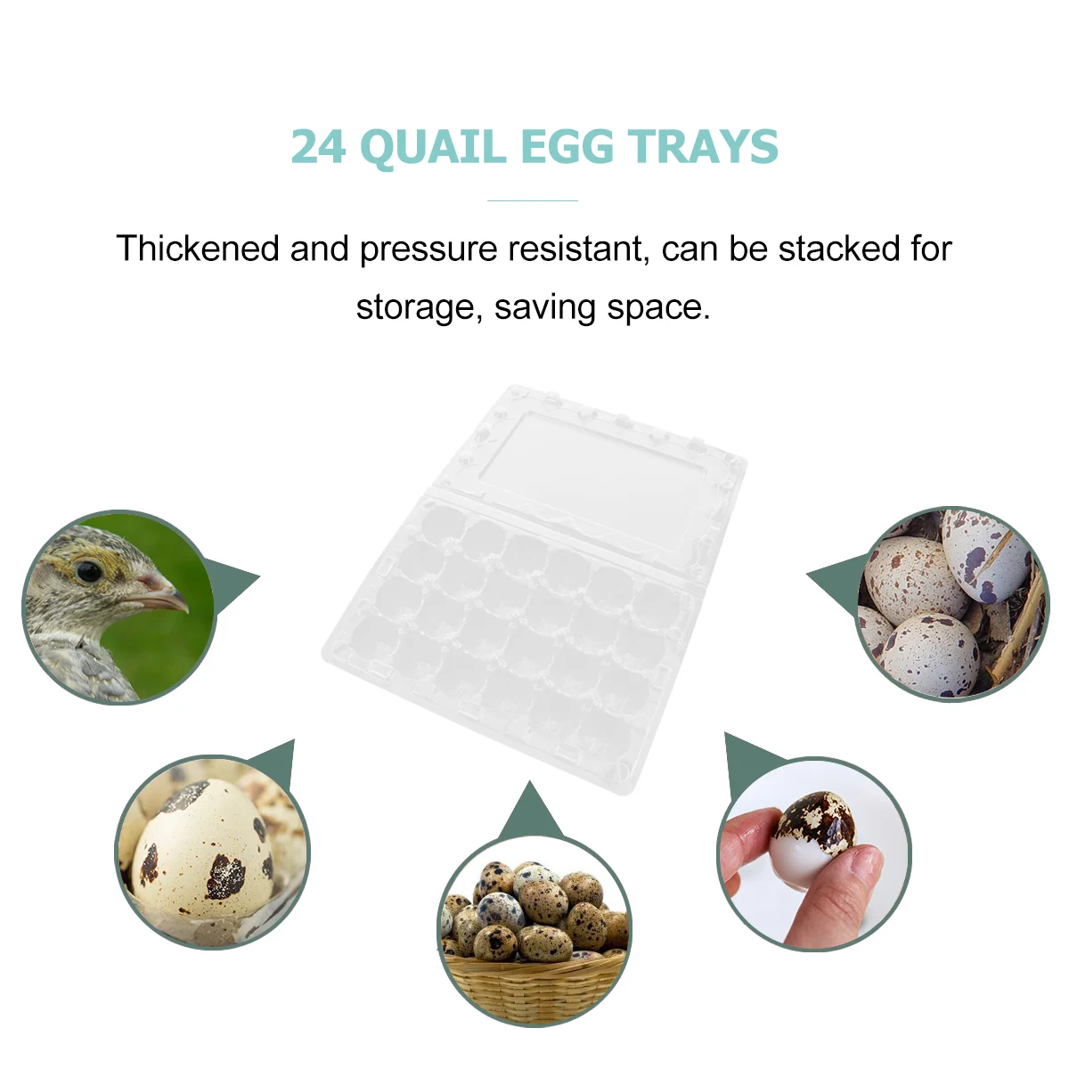 12 Pcs Quail Egg Tray Refrigerator Plastic Holder Storage Container Organizer Rack Organizing
