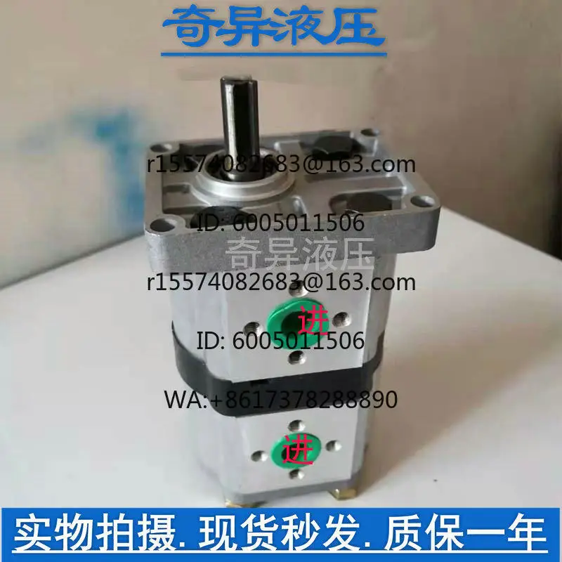 Bomba de aceite de doble engranaje CBN-E314/E314-CLP CBN-E310/E306 E312 E304 E308