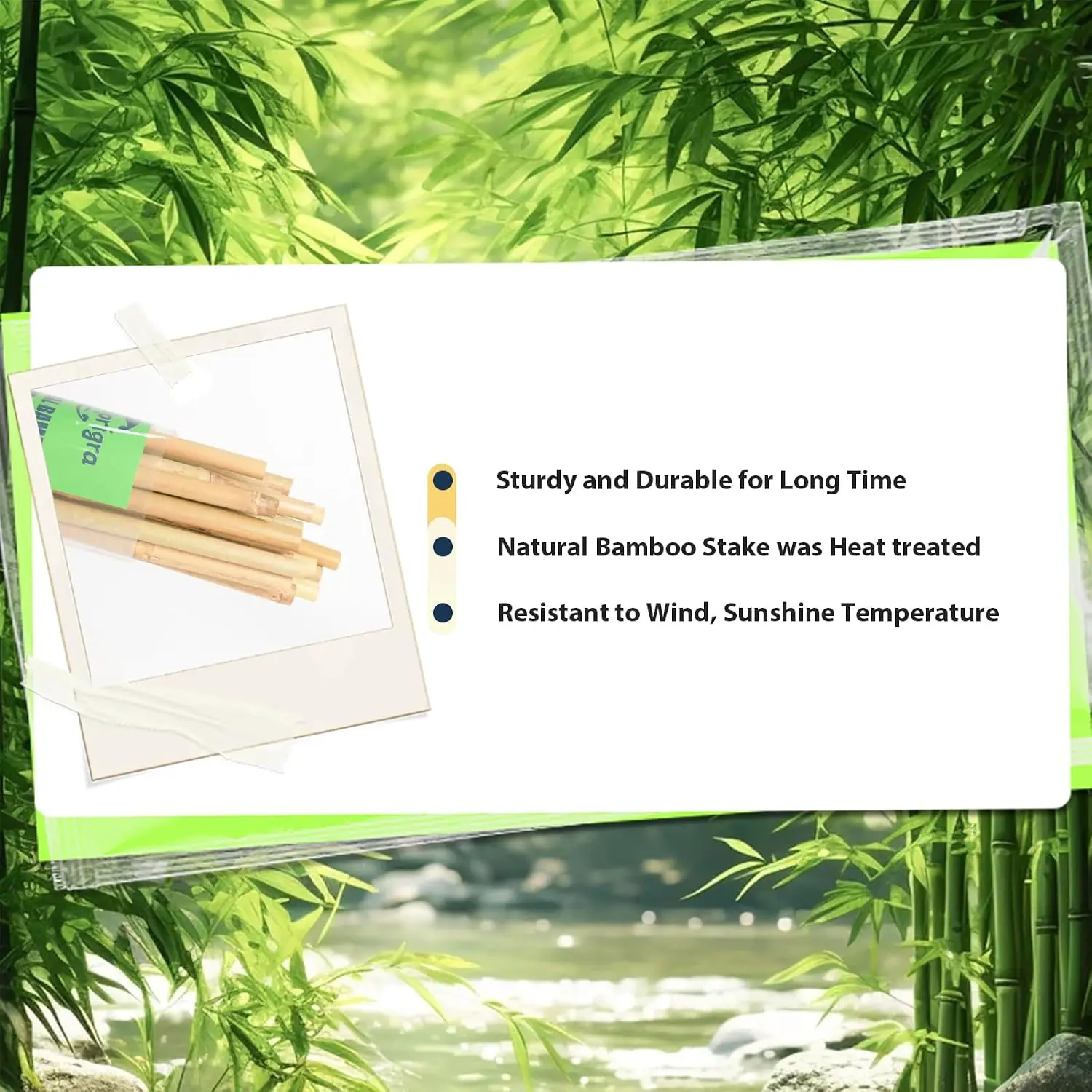 Bamboo Stakes Approx 8ft, 92 inch Garden Stakes Multi-Purpose, Bamboo Plant Support Stakes for Tomatos, Beans, Cucumbers, Pepper