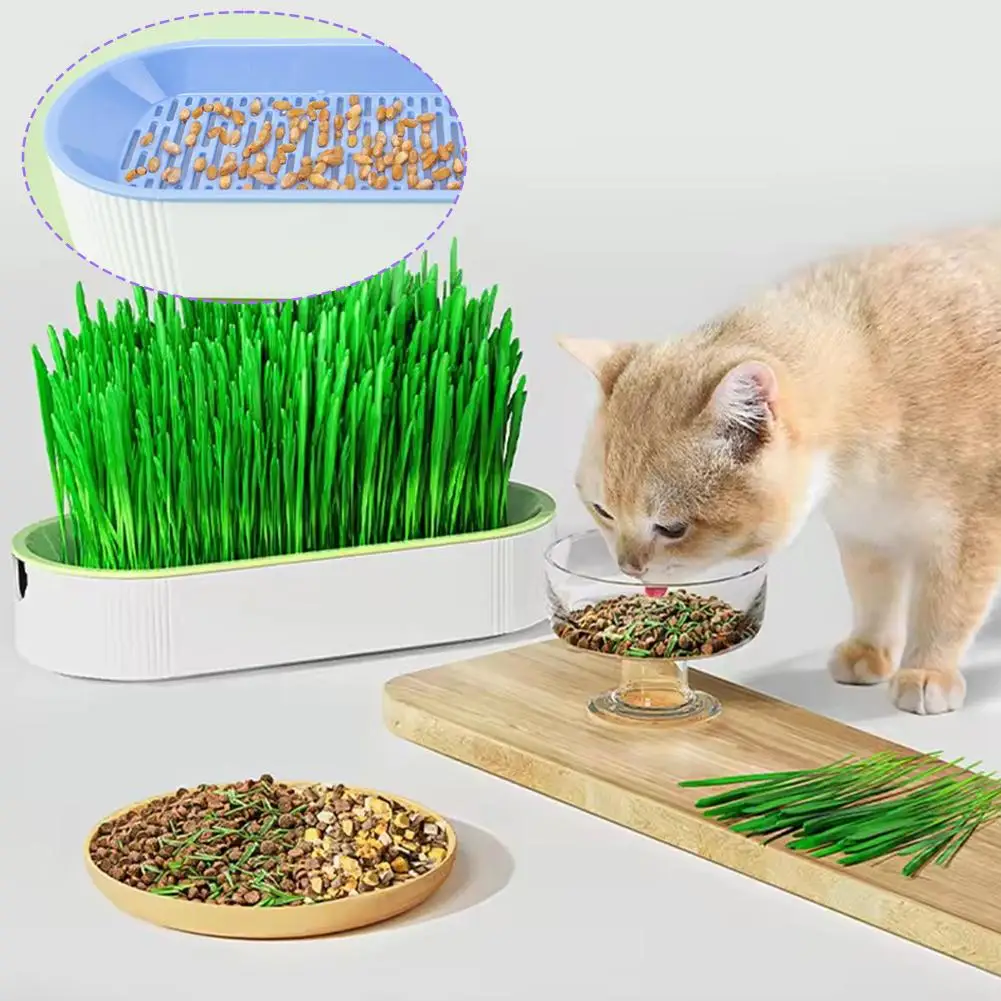 Pet Grass Digestion Growing Tray Starter Dish Greenhouse Nursery Grow Box Plant Hydroponics Germination Grass Pot R8d7