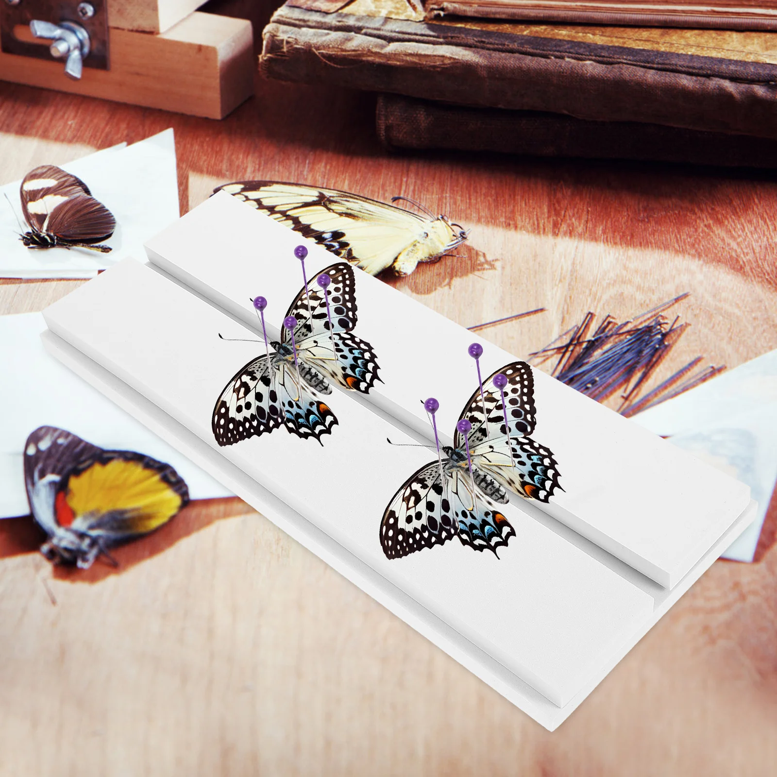 

Insect Butterfly Mounting Spreading Board Lightweight Adjustable Plastic Specimen Display Insect Pinning Kit Specimen Display