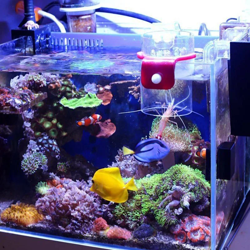 Automatic Water Change Artifact Electric Water Pump Seawater Fish Tank Titration Pump System Fish Farming Pump 5