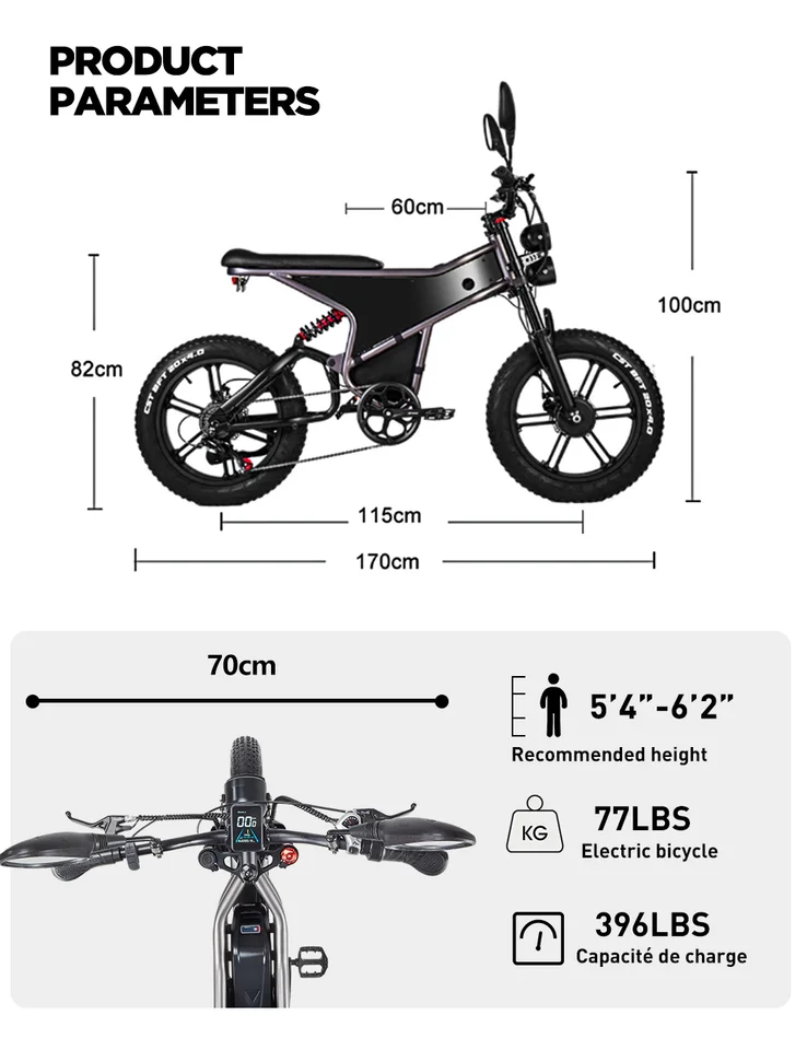 Electric Bike for Adults RANDRIDE DM711, 2000W Motor, 48V 20Ah Removable Lithium Battery, 20*4.0 inch Fat TireFull Suspension Electric Mountain Bike, Mechanical Brake, Long Range Off-Road Beach Snow Bicycle, 40-45KMH Max Speed image 9