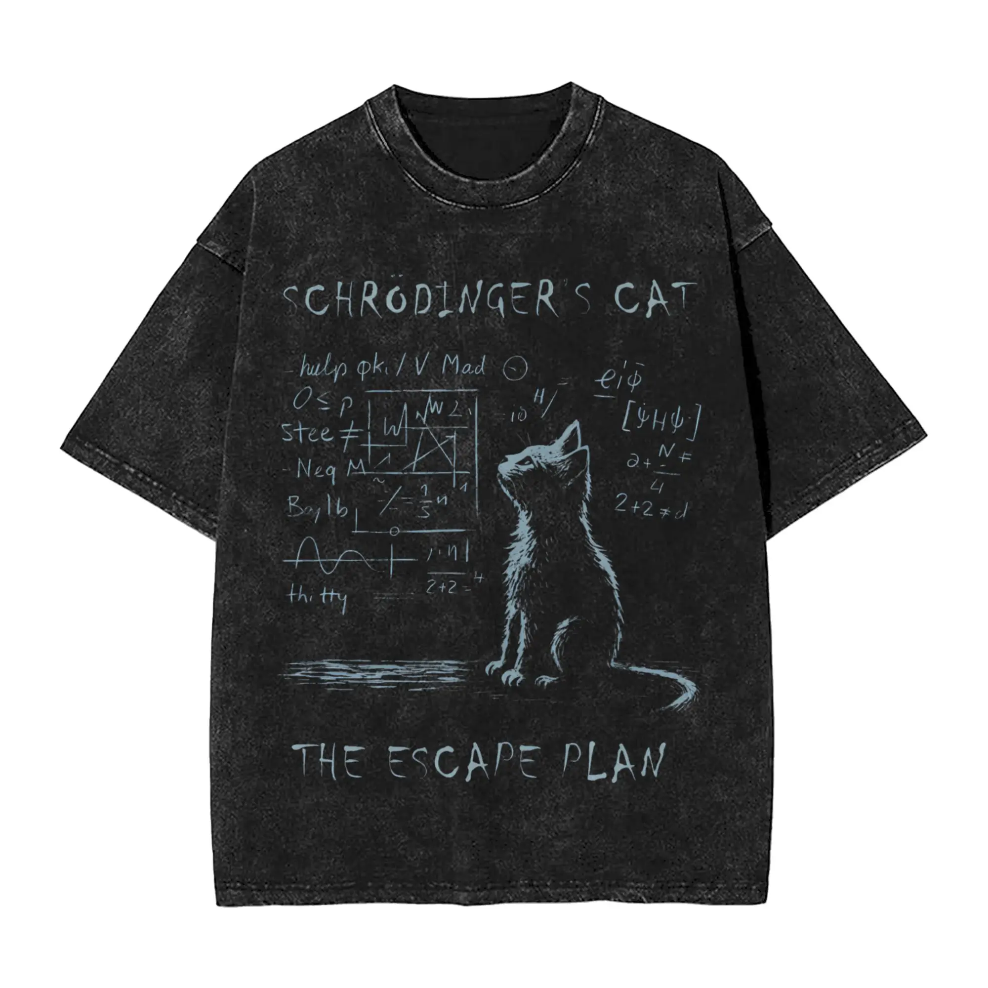 Washed T Shirts Schrodinger'S Cat Nerd Scientific Math Physics Hip Hop T-Shirts Harajuku  Streetwear Short Sleeve Tops Tees Men