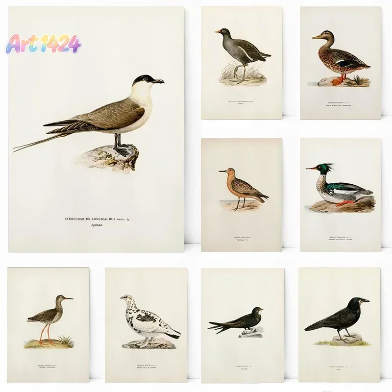 Elegant Game Bird Wall Art Canvas  LongTailed Jaeger Swift Wigeon Ptarmigan Poster  Living Room  Bedroom Decor  Home Decor Pr