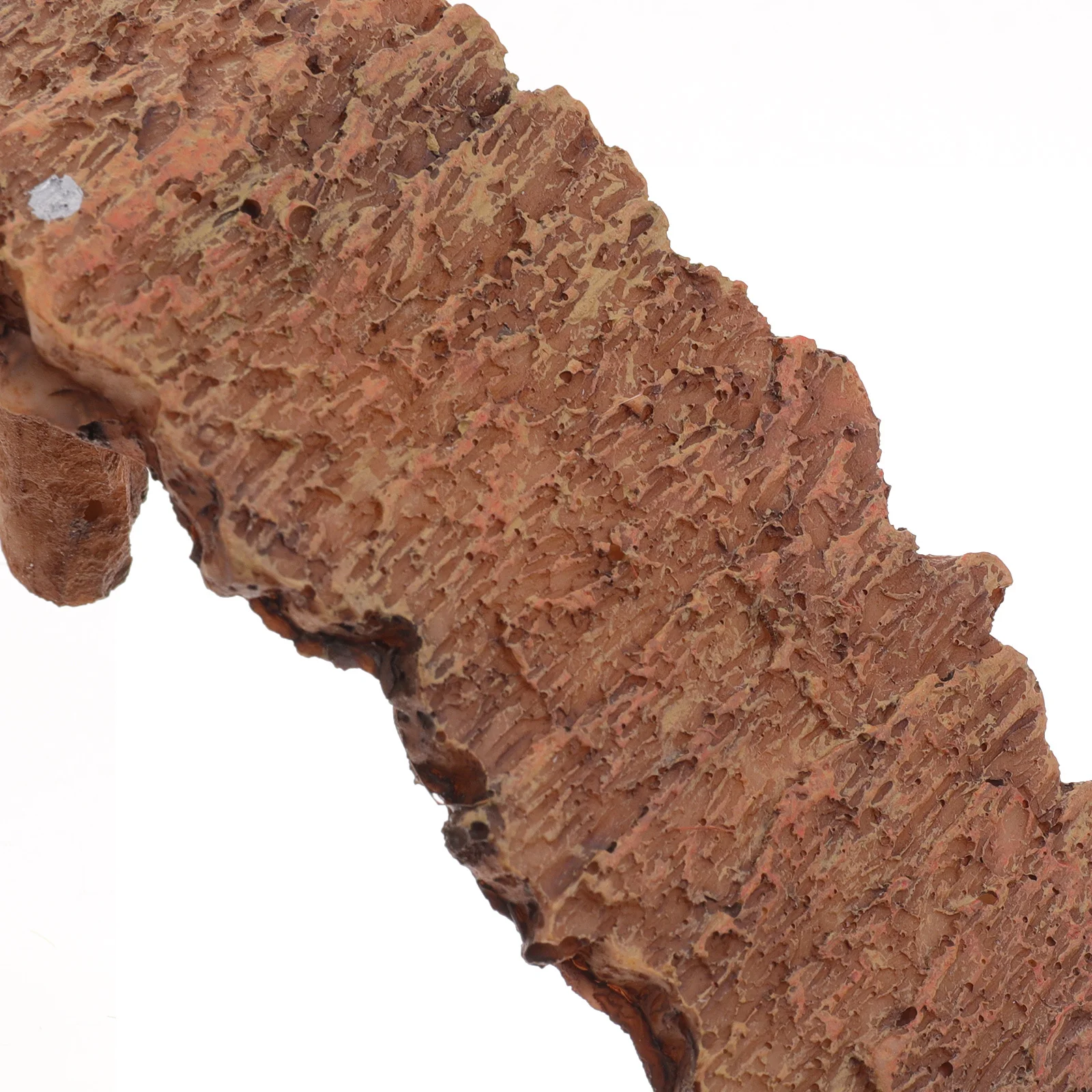 الزواحف السلاحف الفرح منصة الراتنج الجنينة تسلق الراحة منصة حوض السمك السلاحف خزان الملحقات السلحفاة الموئل #1