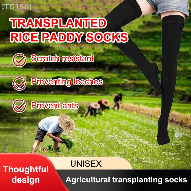 

【N】 Сверхмощные носки для посадки риса, длинные антибуквенные водонепроницаемые носки для фермерских работ для сбора чая【No】