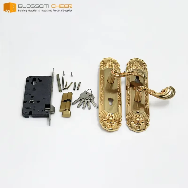Modern European Style Zinc Interior Door Handles with Cylinder for Villa and Hotel Use