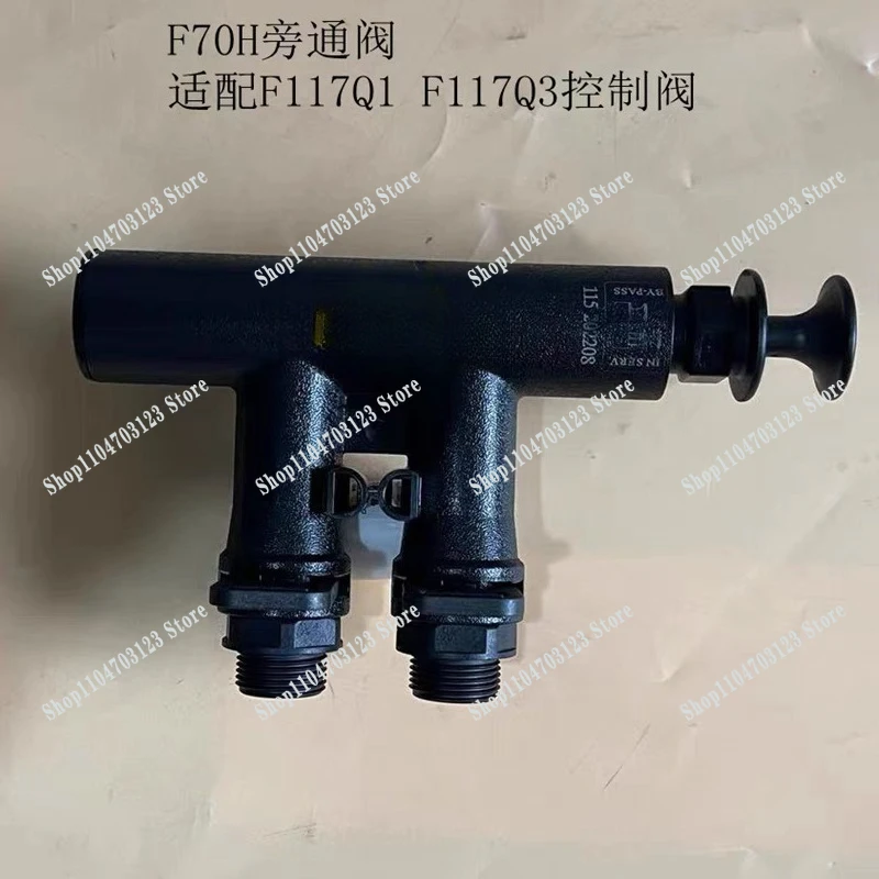 Water treatment softener bypass valve F70H6 external thread port F117Q1 F117Q3 control valve