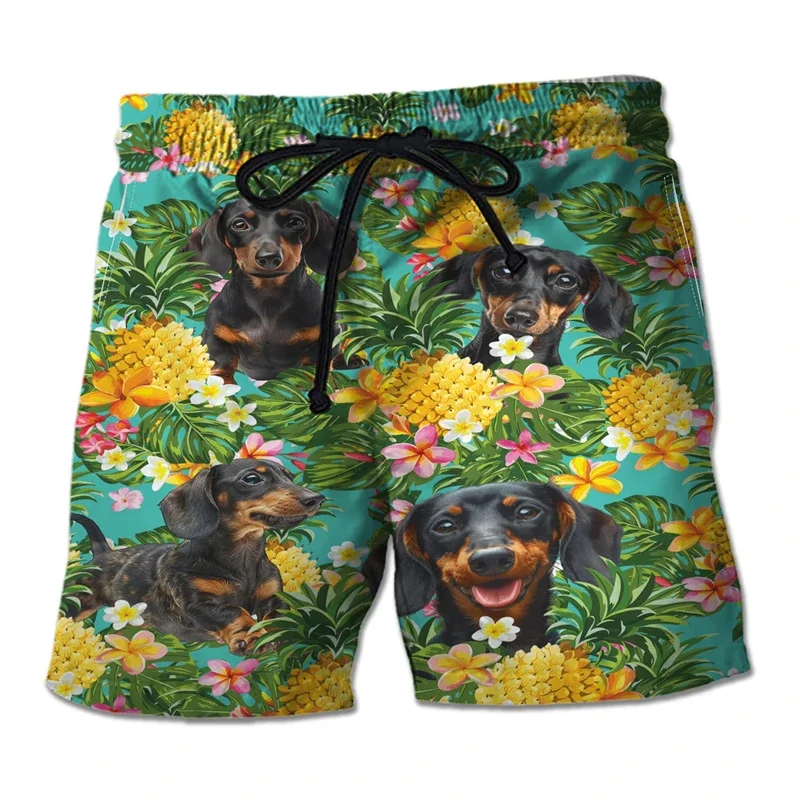 3D Printed Cute Dachshund Short Pants For Men American Flag Pattern Beach Shorts Summer Hawaiian Vacation Loose Surf Swim Trunks