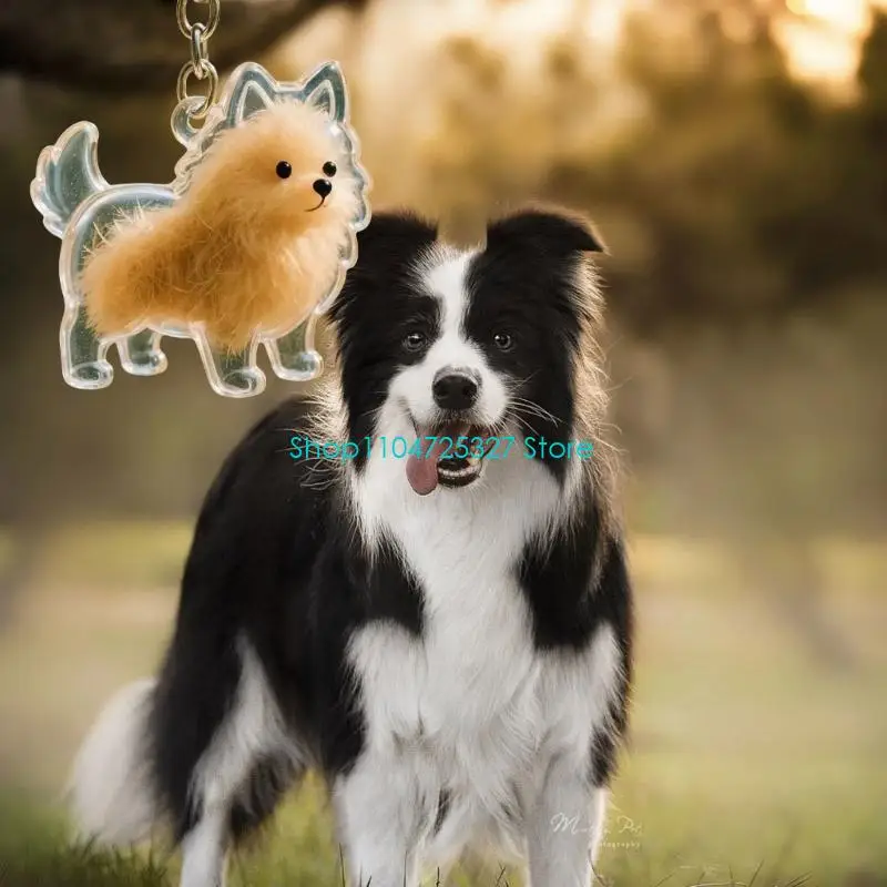 D8KF Clear Dog Hair Storage Box Keychain Memorial Jewelry With Secure Pet Loss Keepsakes For Emotional Supporting Gift