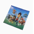 20pcs napkins