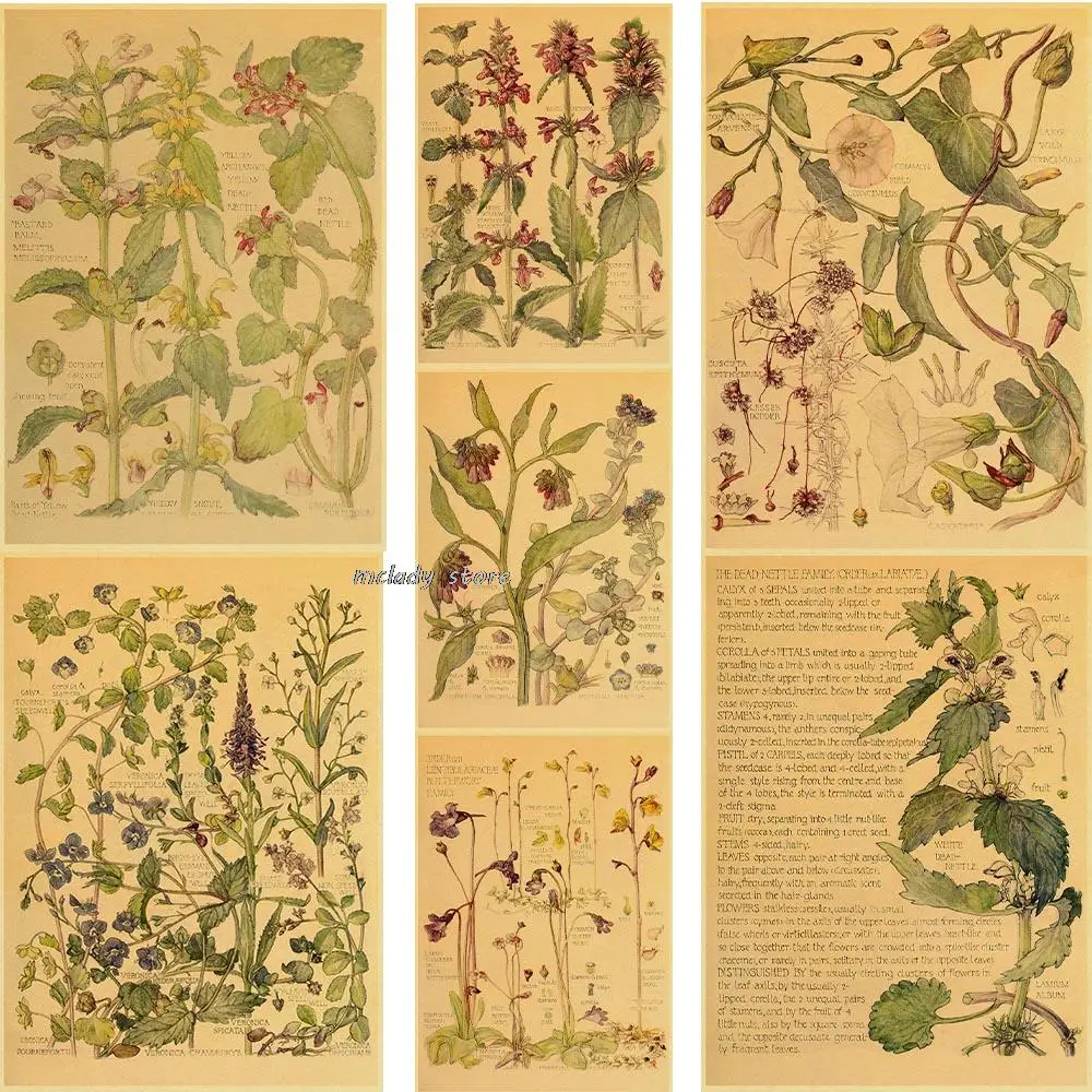 

Plant Flower Study Retro Poster Botanical Prints Posters Kraft Paper Vintage Home Living Room Decor Aesthetic Art Wall Painting