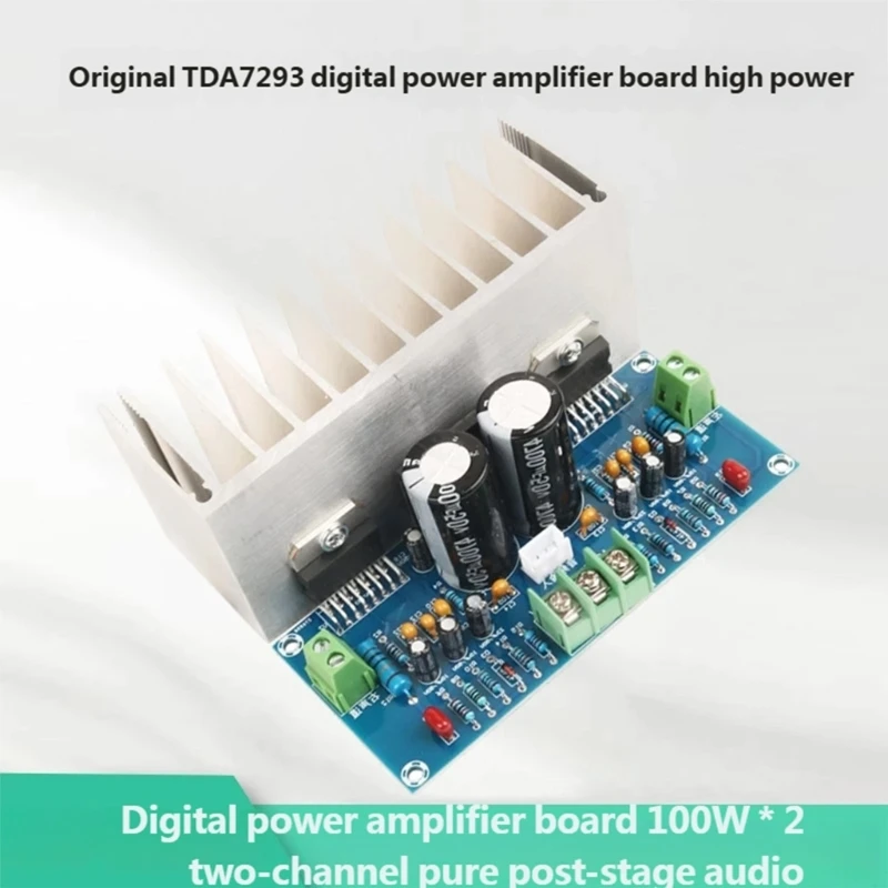 Professional Sound Amplifier Board with Double 100W Output Enhances Sound Quality 