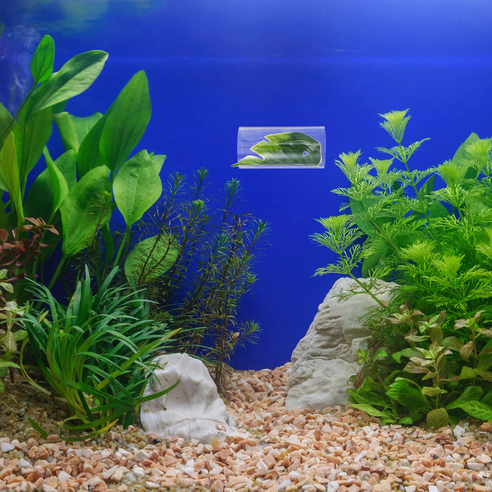 

Betta Fish Tunnel Transparent Tube for Resting Hiding Spawning Aquarium Shrimp Hideout Easy Clean Sturdy Craftsmanship Large