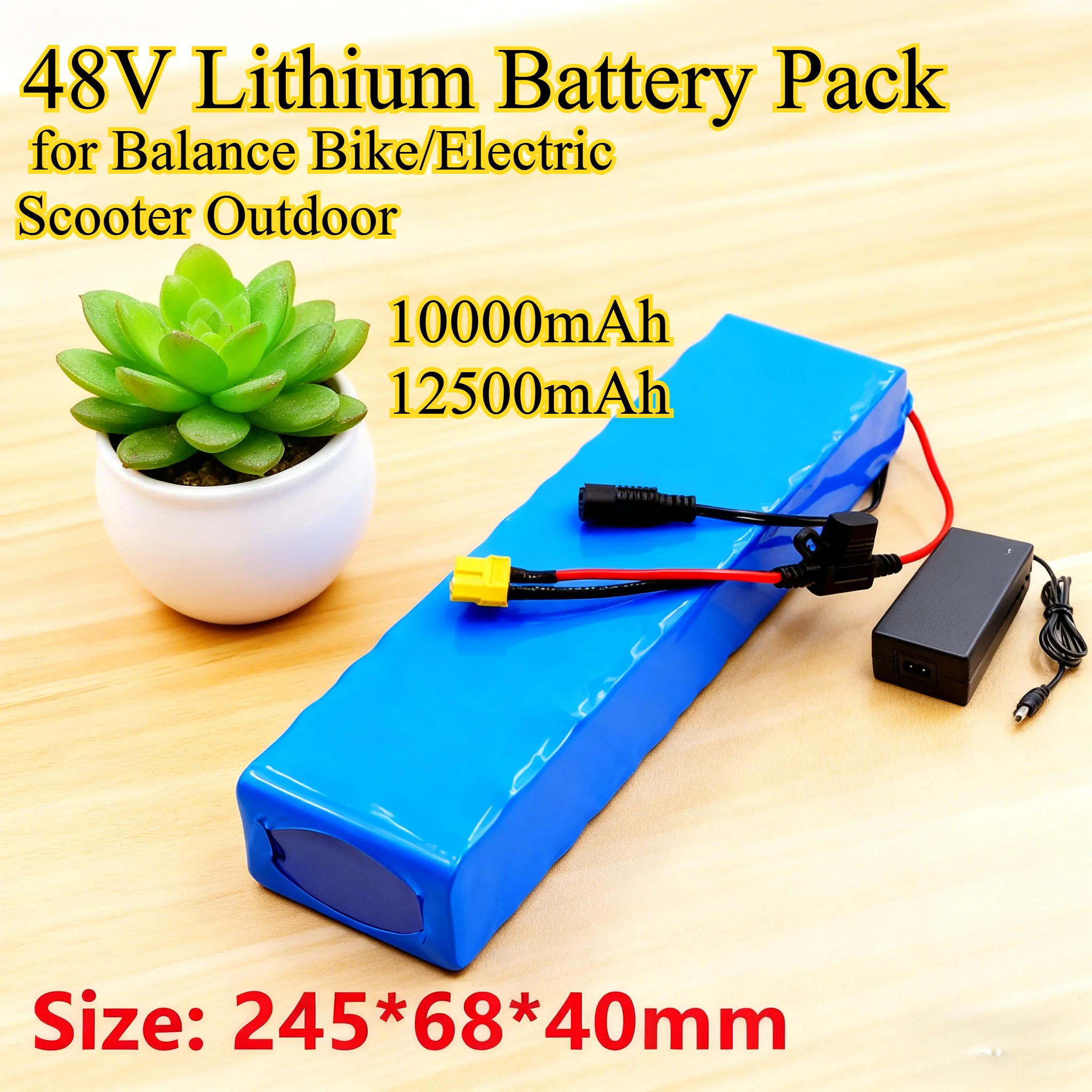 

12500mAh 48V Lithium Battery Pack for Balance Bike/Electric Scooter Outdoor Power 10S2P 18650 Cells High Capacity Long Runtime