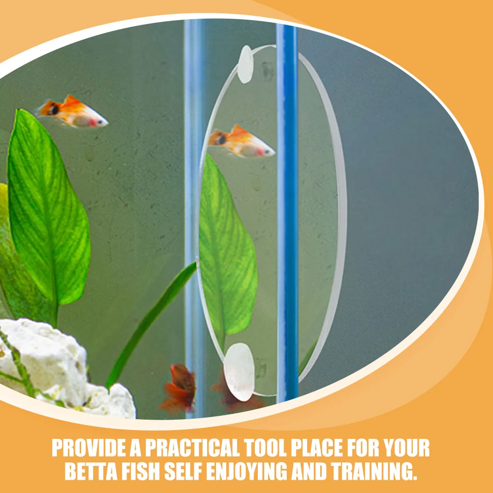 

Betta Fish Training Mirror Single Side Acrylic Suction Cup Mounted Clear Tank Decor Resistant Breakage Long Lifespan Smooth