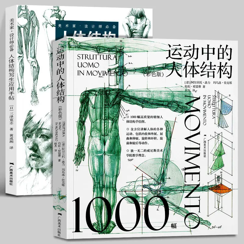Human Anatomy Drawing Set 2 Books: Anatomy Sketching Reference+Human Anatomy in Motion (Color Edition) Skeleton Muscle Drawing