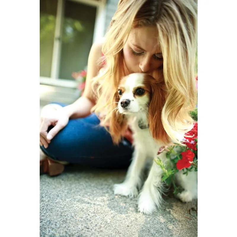 PetSafe Elite Little Dog In-Ground Pet Fence Receiver Collar - for Dogs Over 5 lb - Waterproof with Tone and Static Stimulation