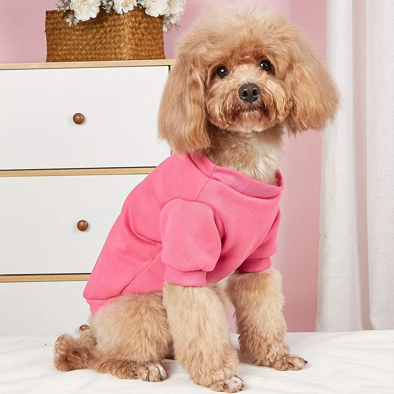 Pet clothes dog dog cat hoodless sweatshirt with velvet warm and comfortable pink A clothes with prints Simple and generous