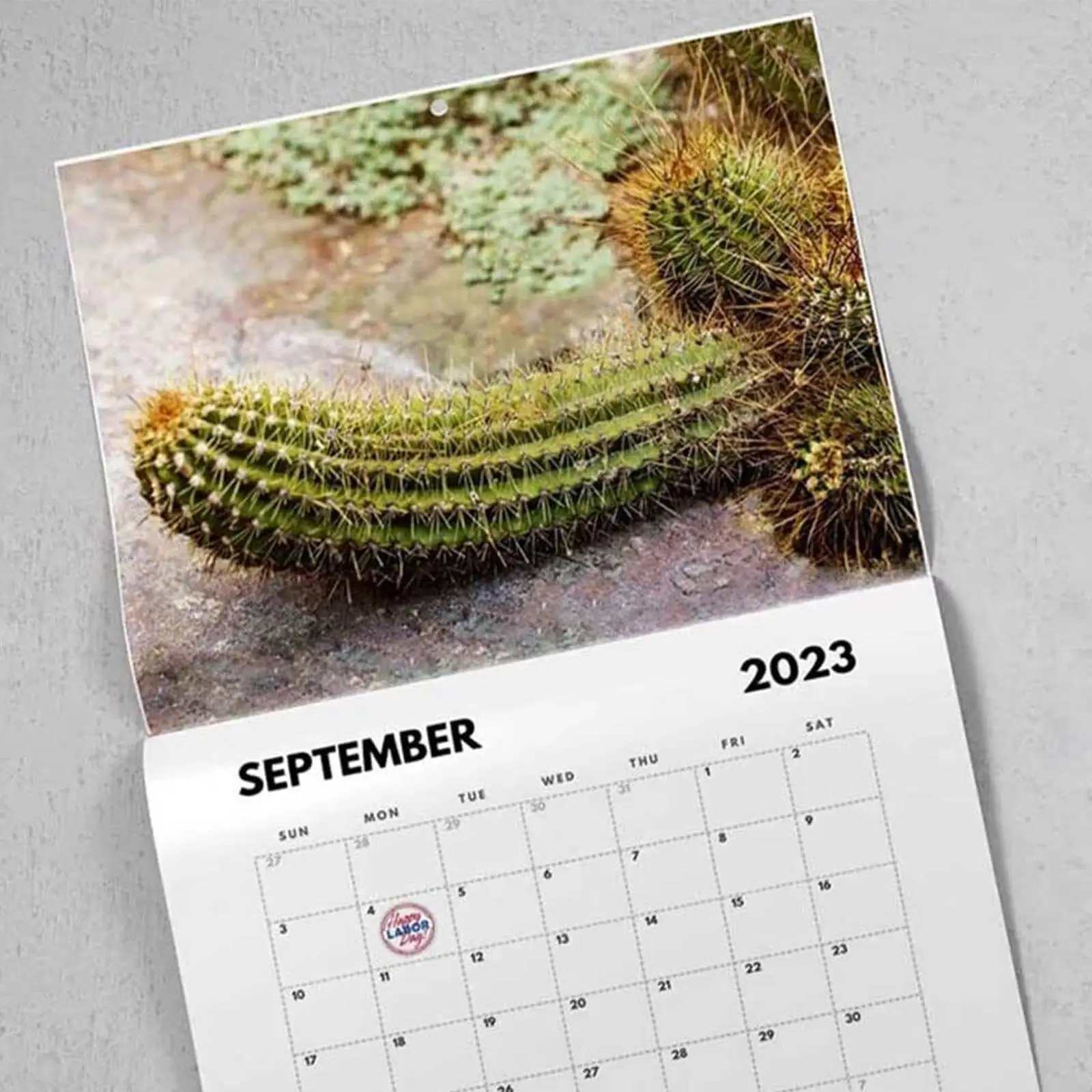 New Nature's Cock Shots 2023 Calendar 2023 Natural Office Home Scenery Supplies Wall Funny Calendar Gift Prank Christmas Sc F9M5