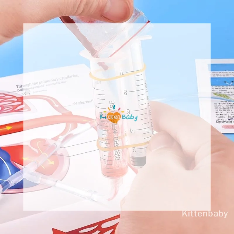 Human Body Circulatory System Model DIY Science Experiment Kit Kids Educational Toy For School Biology Teaching Learning