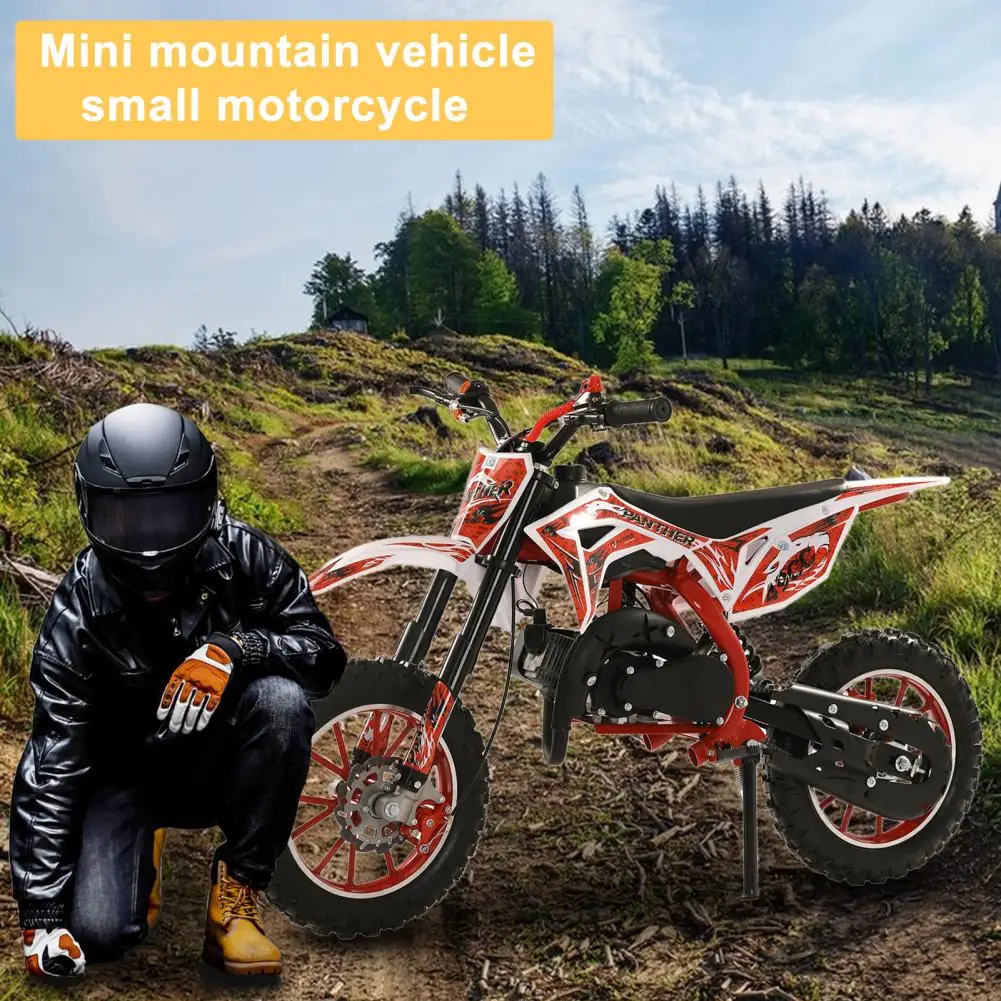 49cc 2-Stroke Kids Dirt Bike Painting Process Anti-Slip Footrests Gas Power Motocross Children Off Road Mini Motorcycle