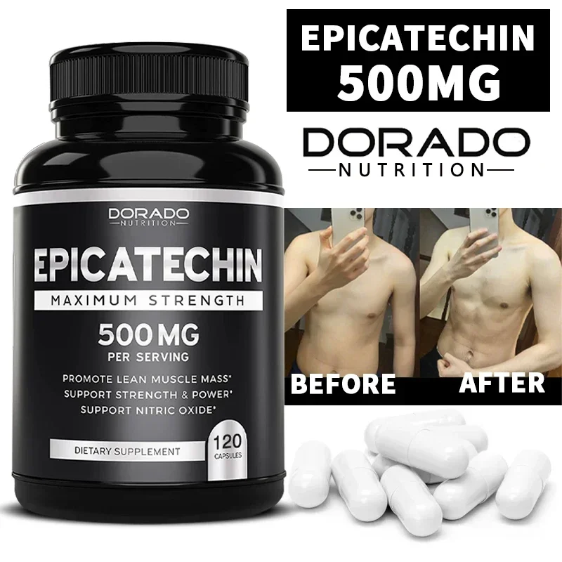 Epicatechin Capsules 500 Mg Per Serving - (120 Capsules) - Supports Lean Muscle, Nitric Oxide, Carnosine Inhibitors, Endurance