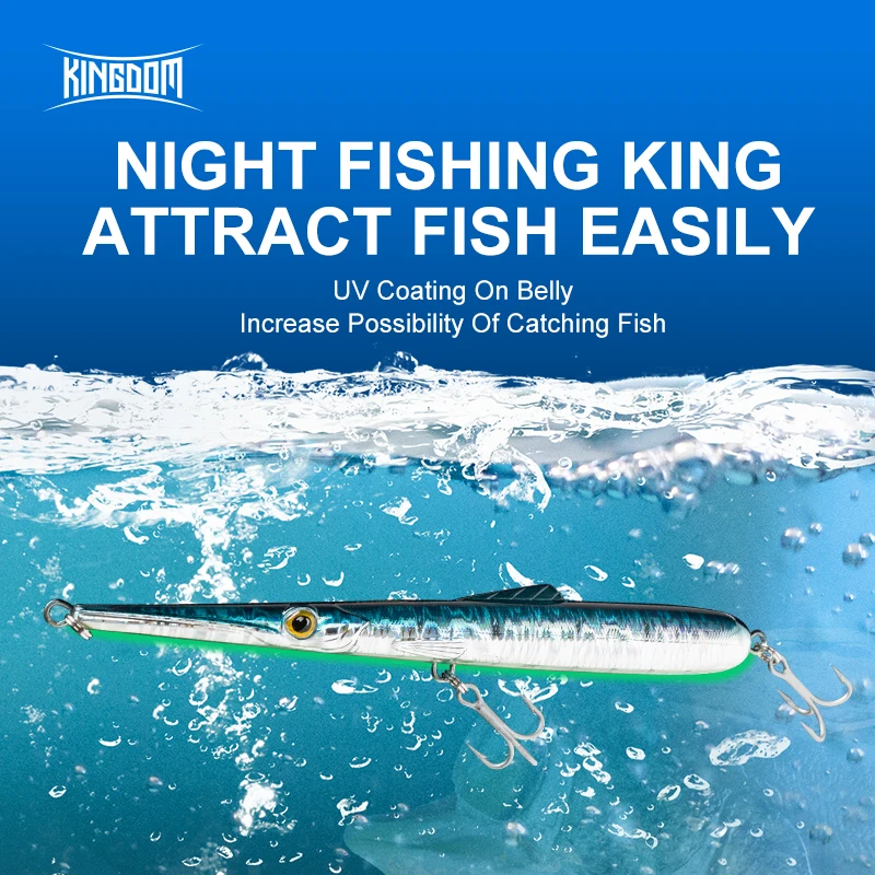 Kingdom Long Casting Pencil Fishing Lure 11g 13g 30g 40g 130mm 205mm Floating & Sinking Stickbait  Bass Saltwater Needle Pencil