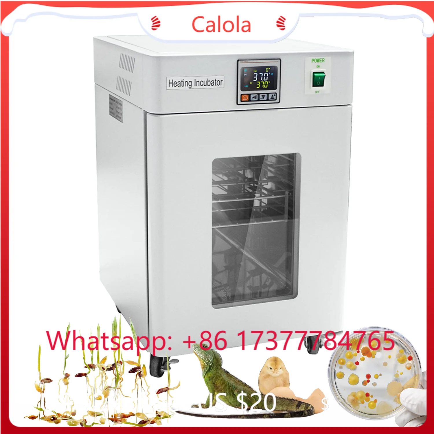 Medical Lab Microbiology - Incator 20L Biological r Thermostatic Medical