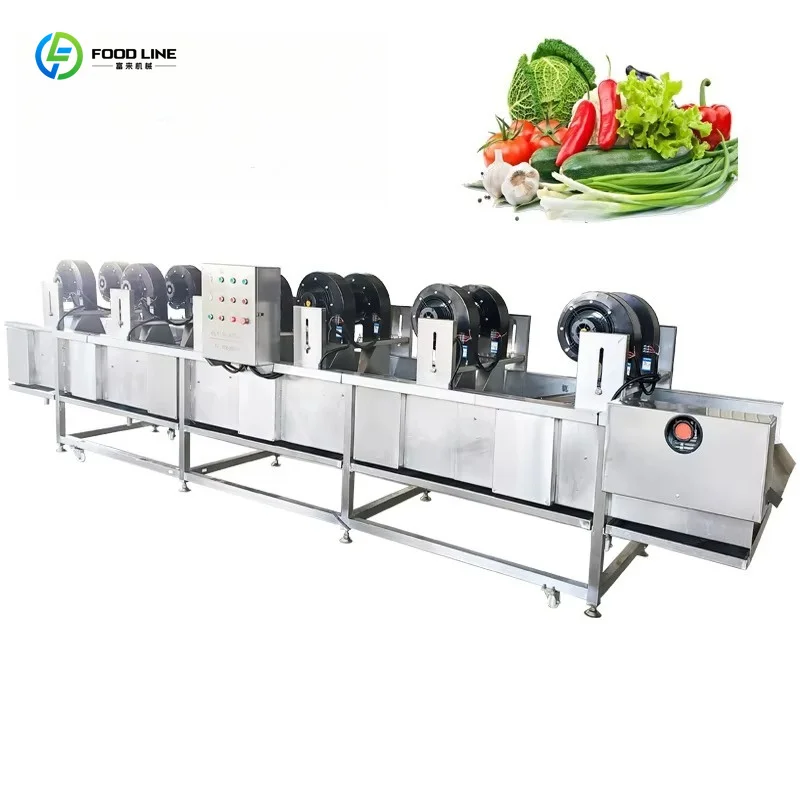 Customized Automatic Conveyor Air Knife Blower Dryer Vegetable Fruit Washing Tunnel Dehydrator