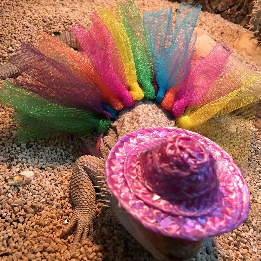 

Chameleon Dress Bearded Dragon Outfit Pet Hat Skirt Kit for Party Halloween Birthday Small Pet Costume Lightweight Storage