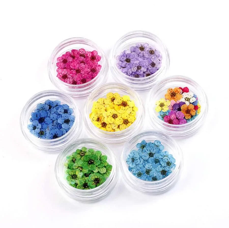 100 Buah Mini Ditekan Kering Narcissus Joningrad Bunga Tanaman Hararium untuk Epoksi Resin Perhiasan Bookmark Kartu Pos Nailart DIY