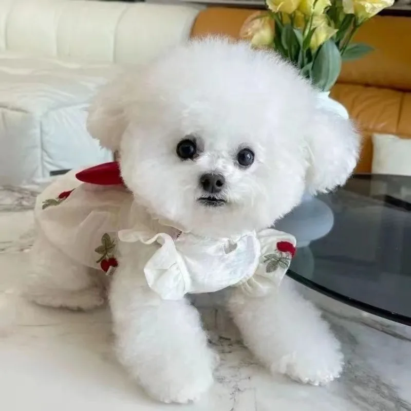 Pet Dog Clothes Summer Embroidered Flowers Breathable Pumpkin Gauze Skirt Dog Clothing Bubble Skirt Teddy thin Bow Puppy Dresses