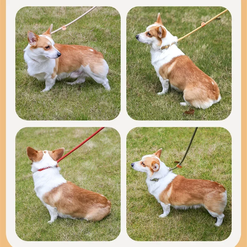 Dog Walking Leash Slip Rope Lead Leash Heavy Duty Braided Rope Adjustable Loop Collar Training Leashes for Large Dogs