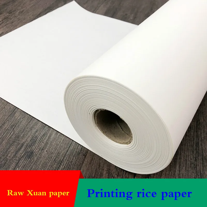 Inkjet Printing Raw Xuan Paper Long Roll Calligraphy Brush Pen Write White Rice Paper Chinese Flower Birds Painting Works Papier