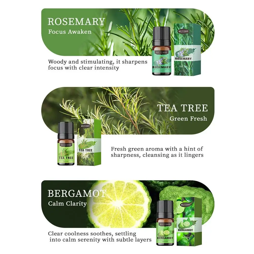 5 مللي الزيوت العطرية الطبيعية شجرة إكليل الجبل شجرة الشاي الليمون الخزامى عشب الليمون الأوكالبتوس النعناع زيت عطر البرتقال الحلو