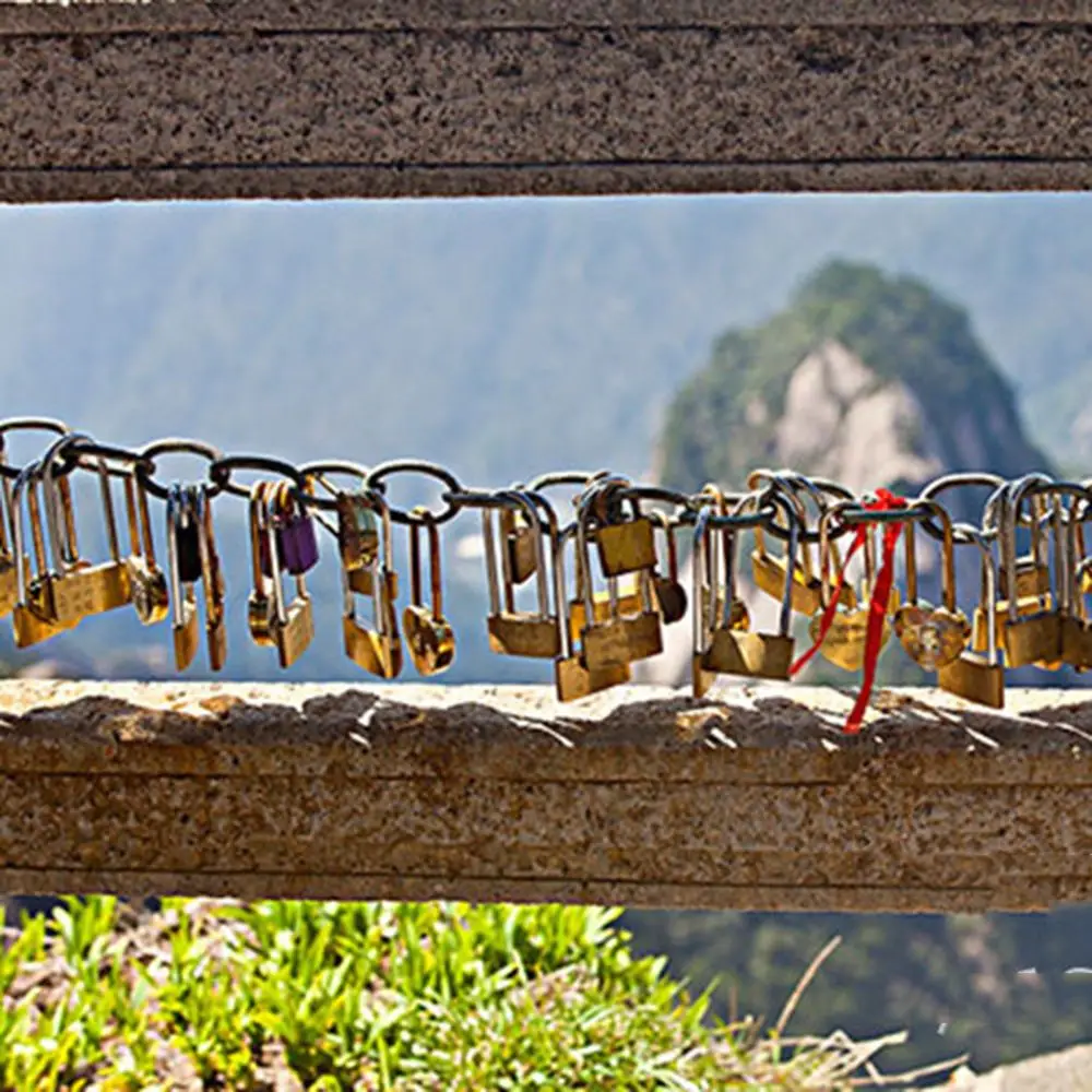 Mini Scenic Wishing Lock 40MM Concentric Lock Love Lock Valentines Engraved Lock Padlock Double Heart