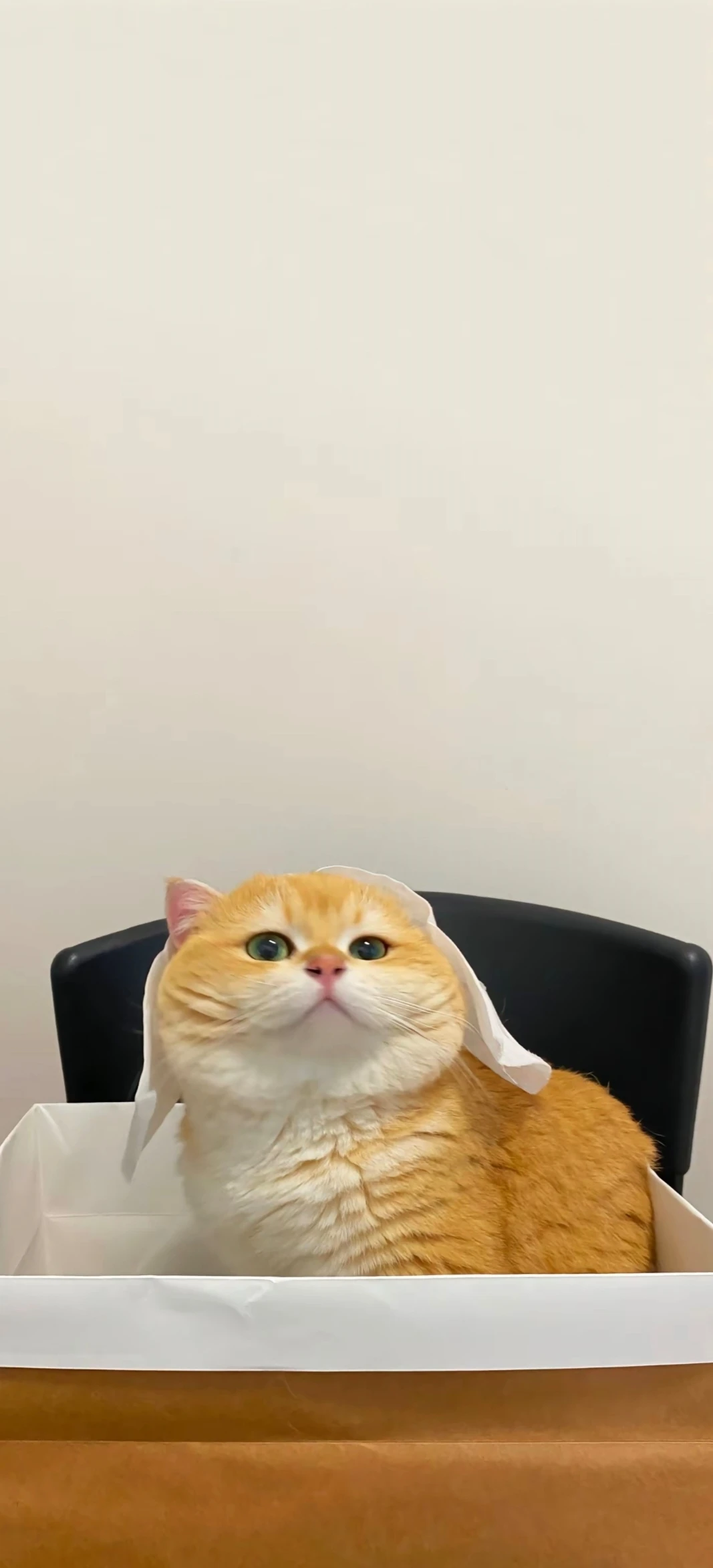 

25T Servo Arm Parts Replacement Upgrade for RC Fixed Wing Aircraft Boat Airplane