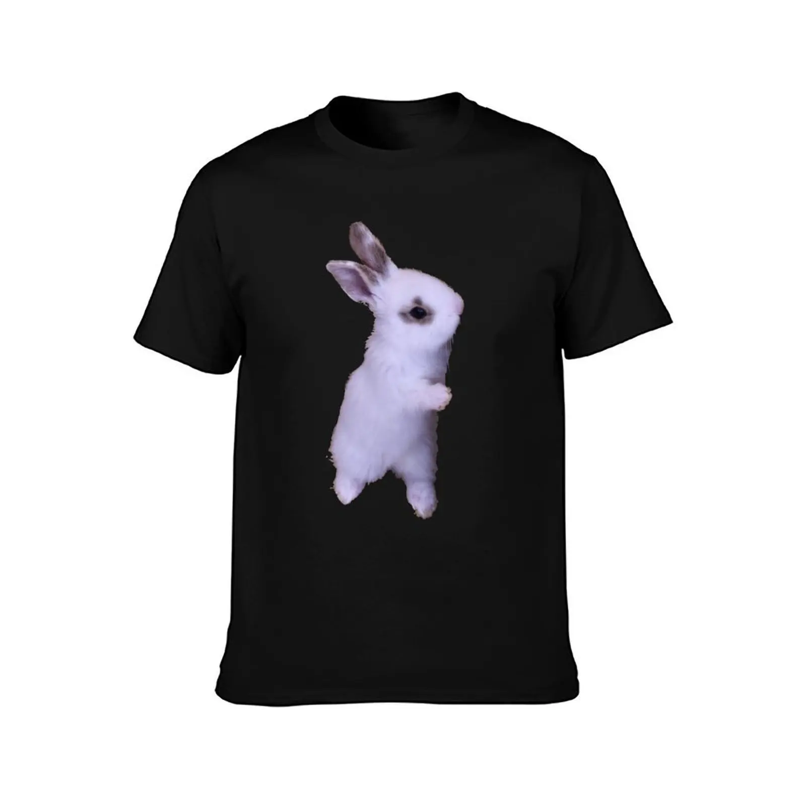 The little Lady / Swiss Artwork Photography T-Shirt Active Wear Sports for Men T-Shirt