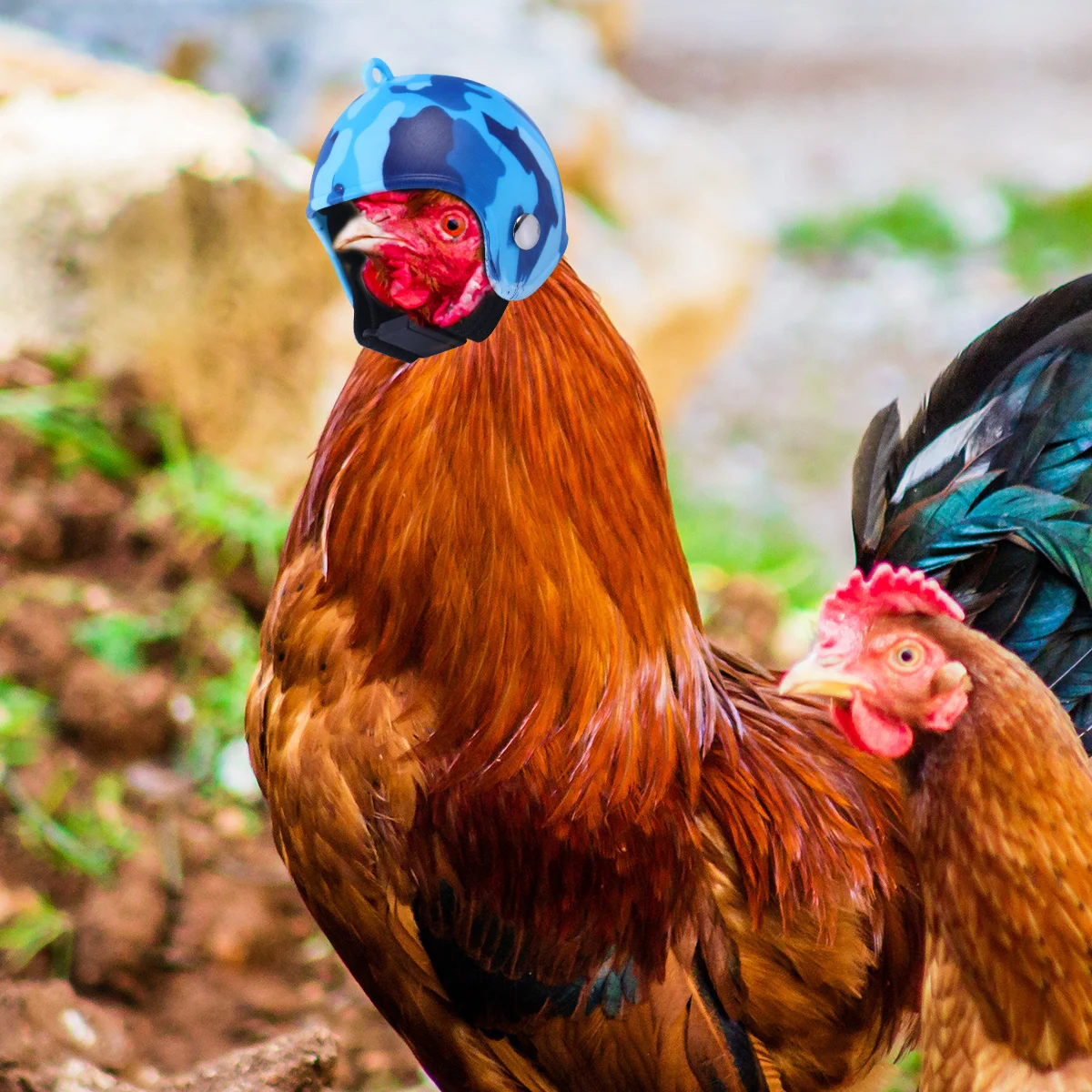 

1Pcs Chicken Adjustable Size Safe Plastic Protective Headgear Small Pet Bird Hat Comfortable Elastic Band