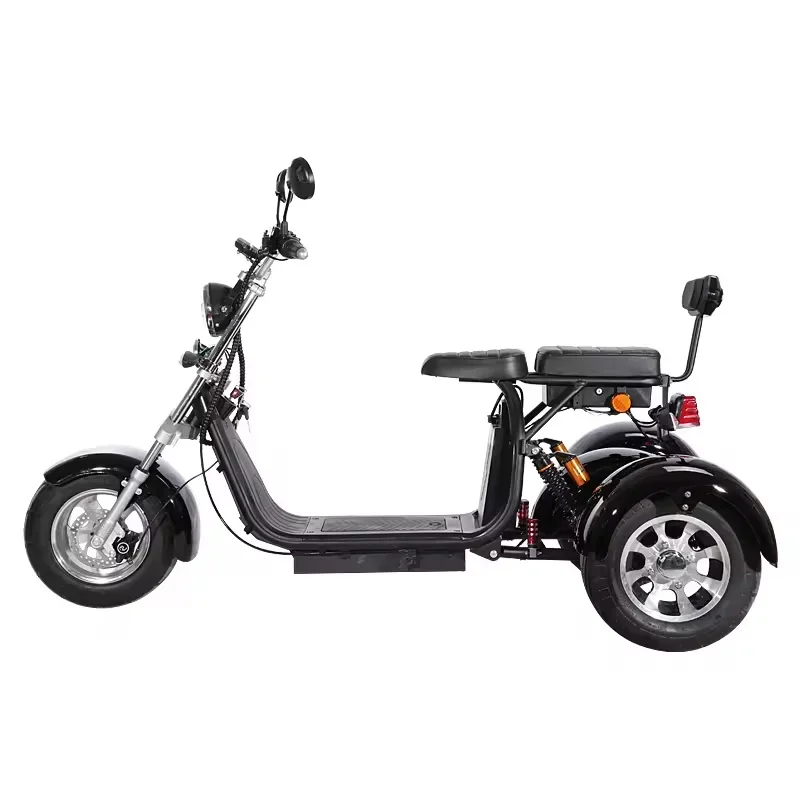 2000w 2*60v20ah Lithium-Ion Battery EEC CE COC EU Door-To-Door Electric Motorcycle With Three Wheels OEM